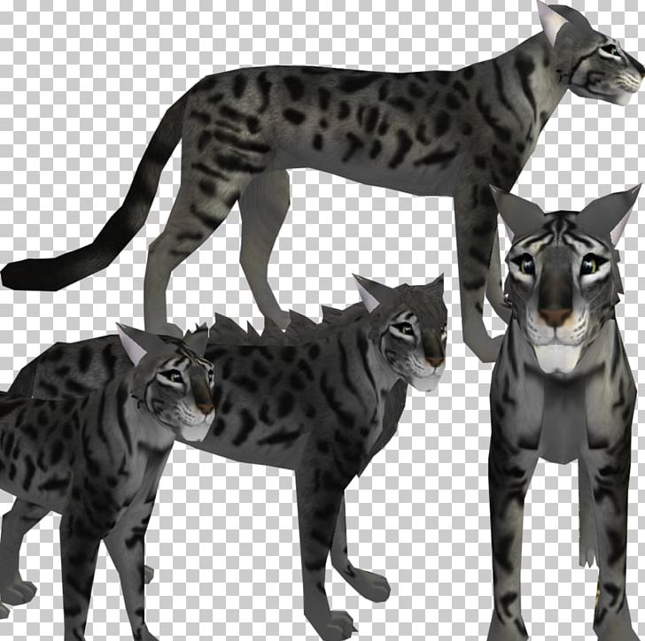 Bengal Cat Feral Cat Felidae Dog Black Cat PNG, Clipart, Animals, Bengal, Bengal Cat, Big Cat, Big Cats Free PNG Download