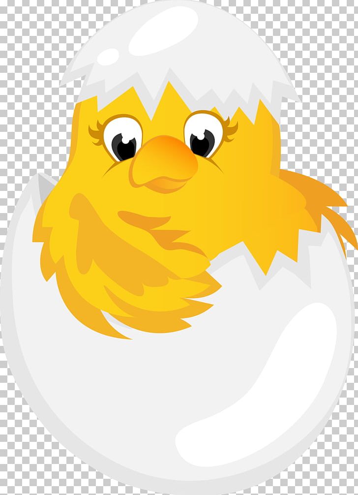Chicken Easter Bunny Kifaranga PNG, Clipart, Animals, Beak, Bird, Cartoon, Chicken Free PNG Download