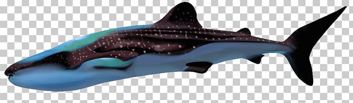 Requiem Sharks Hammerhead Shark Whale Shark PNG, Clipart, Animal Figure, Art, Cartilaginous Fish, Cetacea, Com Free PNG Download