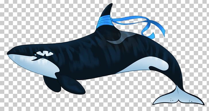Rough-toothed Dolphin Killer Whale YouTube PNG, Clipart, Animal Figure, Camy, Deviantart, Dolphin, Electric Blue Free PNG Download