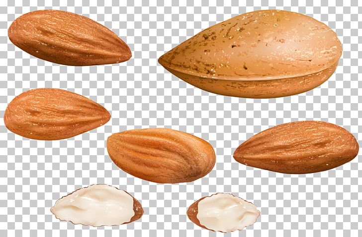 Almond Nucule PNG, Clipart, Almond, Almond Milk, Almonds, Almondy, Apricot Kernel Free PNG Download