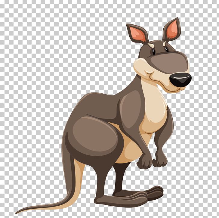 Anteater Australia Wombat PNG, Clipart, Animal, Anteater, Australia, Carnivoran, Cartoon Free PNG Download