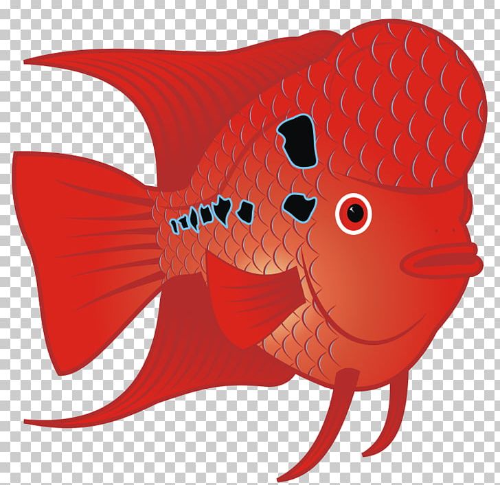 Flowerhorn Cichlid Tropical Fish PNG, Clipart, Animal, Aquarium, Art, Cartoon, Cichlid Free PNG Download