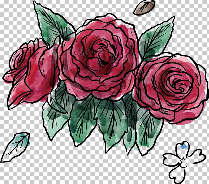 Garden Roses Beach Rose Flower Centifolia Roses PNG, Clipart, Cartoon, Creativ, Design, Encapsulated Postscript, Flower Free PNG Download