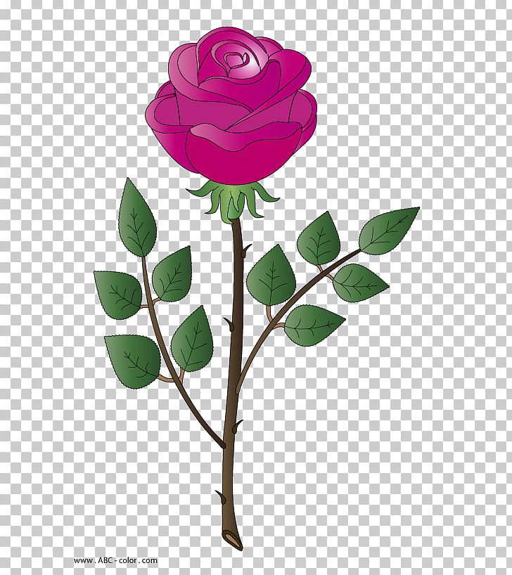 Garden Roses Centifolia Roses Drawing Raster Graphics PNG, Clipart, Branch, Centifolia Roses, Cut Flowers, Desktop Wallpaper, Digital Image Free PNG Download