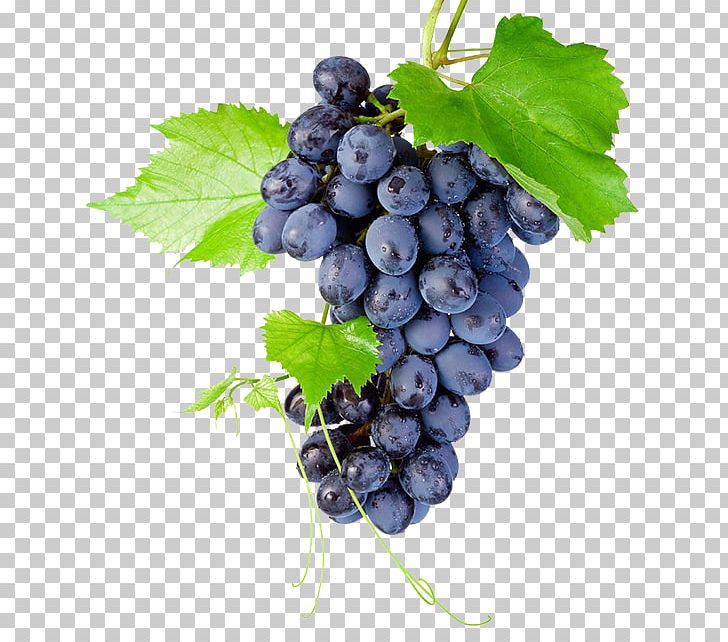 Kyoho Grapevines Raceme PNG, Clipart, Bilberry, Blueberry, Bunch Of Flowers, Chicken Salad, Food Free PNG Download