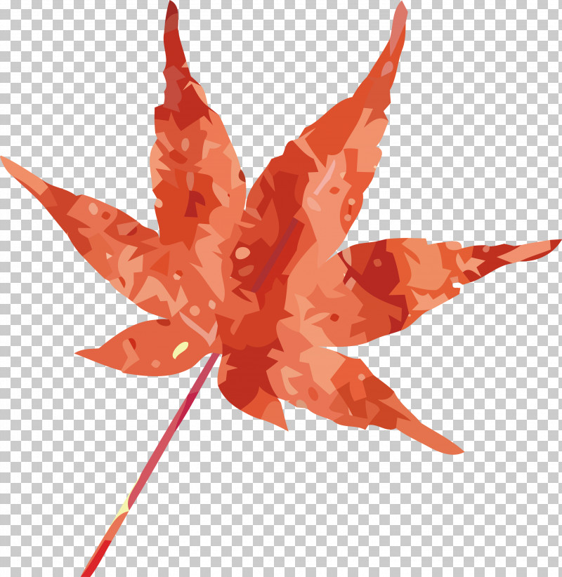 Maple Leaf PNG, Clipart, Biology, Leaf, Maple, Maple Leaf, Petal Free PNG Download