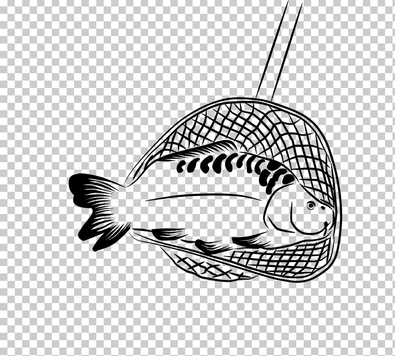 Fish Fish Line Art Coloring Book Black-and-white PNG, Clipart, Blackandwhite, Carp, Coloring Book, Fish, Line Art Free PNG Download