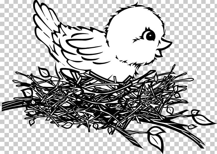 Bird Nest Drawing PNG, Clipart, Art, Artwork, Beak, Bird, Bird Egg Free PNG Download