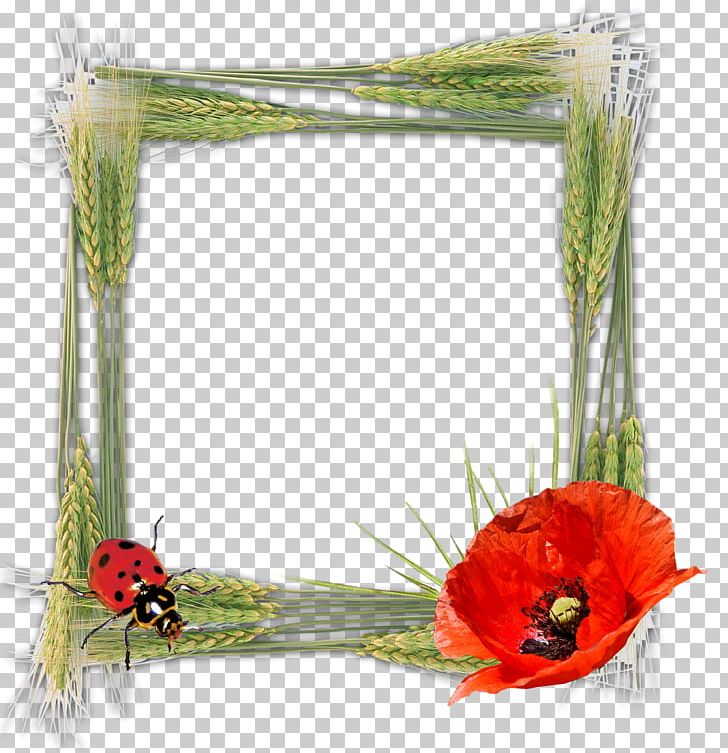Frames Photography Birthday Tableau PNG, Clipart, Animation, Birthday, Desktop Wallpaper, Download, Floral Free PNG Download