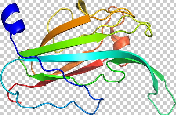 Line Point Organism PNG, Clipart, Area, Art, Artwork, Cyclindependent Kinase 1, Line Free PNG Download