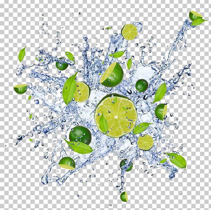 Water Stock Photography Key Lime Lemon PNG, Clipart, Branch, Circle, Computer Wallpaper, Digital Image, Flora Free PNG Download