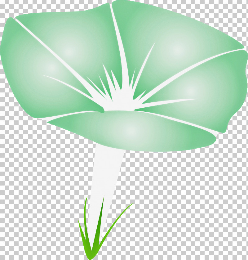 Morning Glory Flower PNG, Clipart, Flower, Grass, Green, Leaf, Morning Glory Free PNG Download