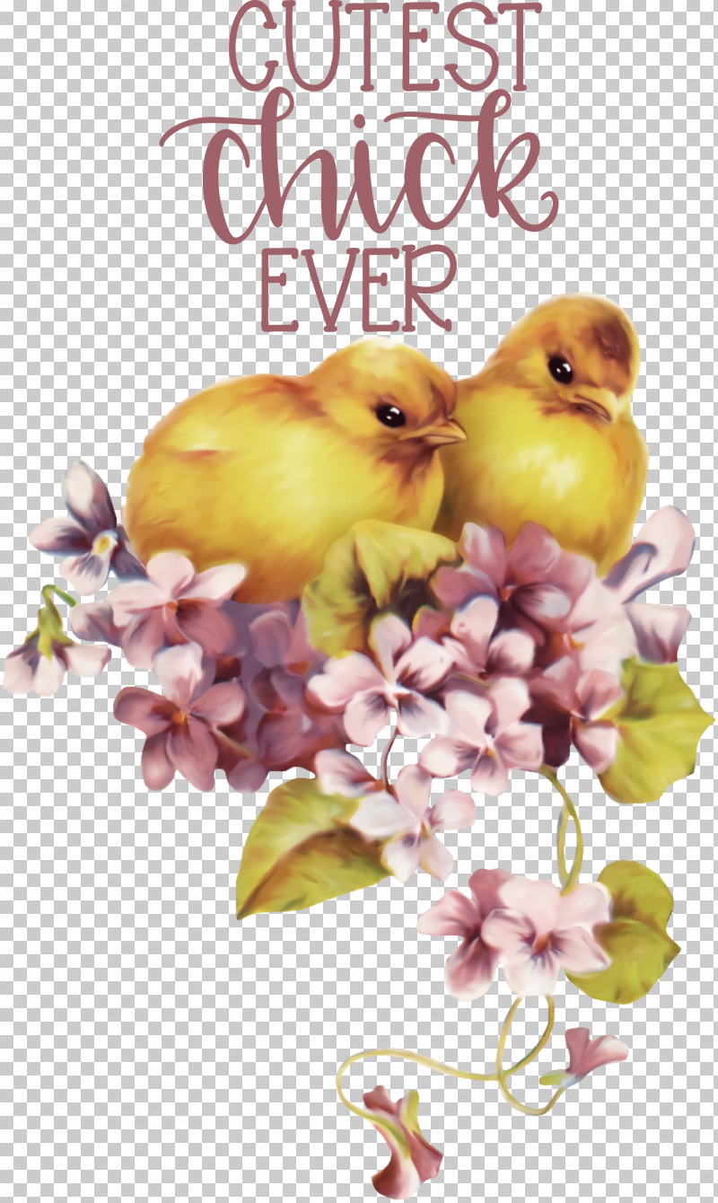 Happy Easter Cutest Chick Ever PNG, Clipart, Basket, Carnival, Chicken, Christmas Day, Easter Basket Free PNG Download