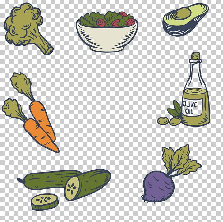 Alimento Saludable Vegetable Food Salad Radish PNG, Clipart, Brand, Broccoli, Cucumber, Food, Food Drinks Free PNG Download
