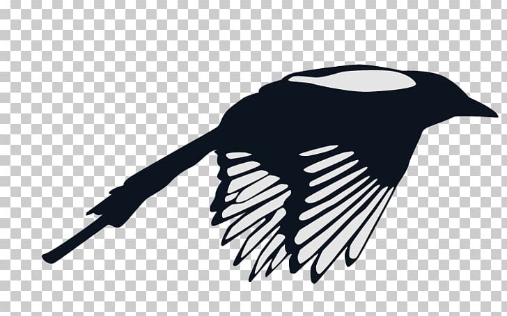 Bird Magpie PNG, Clipart, Animals, Beak, Bird, Black And White, Drawing Free PNG Download