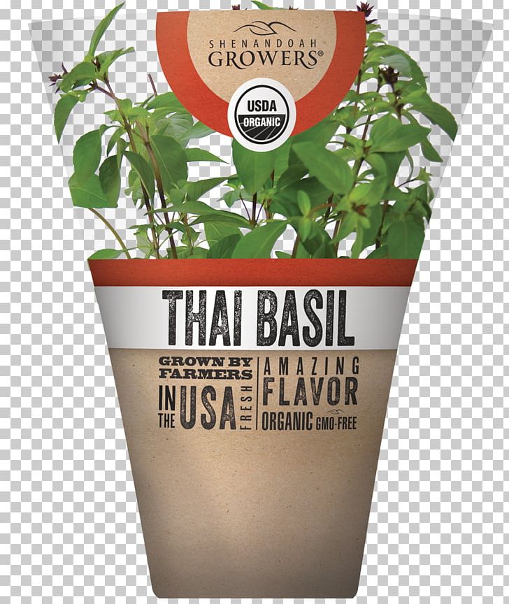 Herb Thai Cuisine Thai Basil Organic Food PNG, Clipart, Basil, Brand, Chives, Common Sage, Coriander Free PNG Download