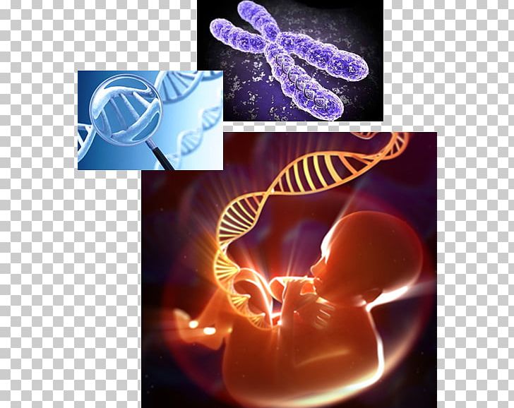 Human Genome Genetics DNA PNG, Clipart, Biology, Chromatin, Computer Wallpaper, Dna, Enhancer Free PNG Download