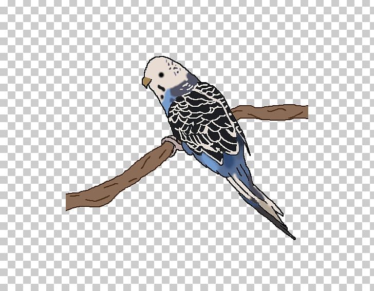 Owl Cobalt Blue Feather Beak Parakeet PNG, Clipart, Beak, Bird, Bird Of Prey, Blue, Canary Bird Free PNG Download