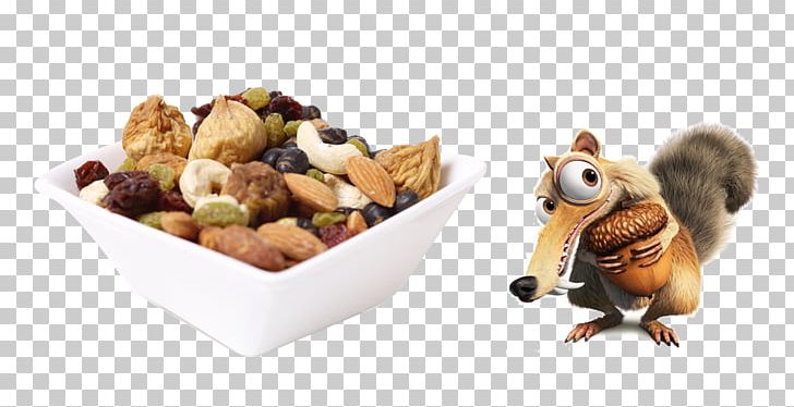 Scrat Ice Age Acorn Snack Animation PNG, Clipart, Acorn, Almond Nut, Animation, Denis Leary, Film Free PNG Download