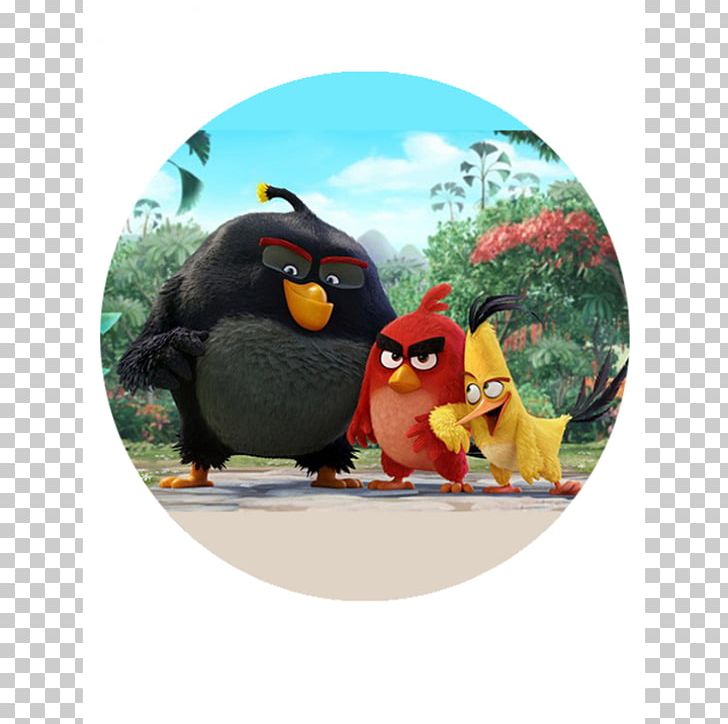 Hollywood Film Video Game Cinema Angry Birds PNG, Clipart, Angry Birds, Angry Birds Movie, Animation, Beak, Cinema Free PNG Download