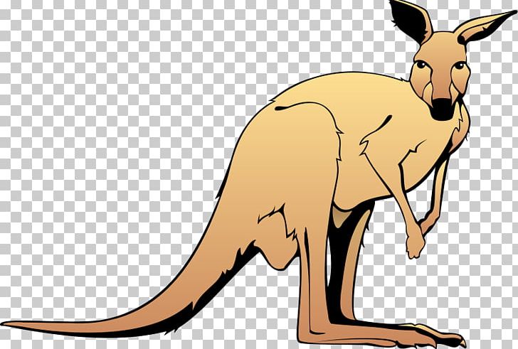 Kangaroo Free Content PNG, Clipart, Animals, Australia, Australia Kangaroo, Cartoon Kangaroo, Christmas Kangaroo Free PNG Download