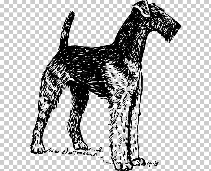 Airedale Terrier Boston Terrier Soft-coated Wheaten Terrier Yorkshire Terrier Bedlington Terrier PNG, Clipart, Airedale Terrier, Bedlington Terrier, Black And White, Boston Terrier, Breed Free PNG Download