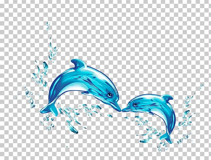 Dolphin Water PNG, Clipart, Animals, Aqua, Aquatic Animal, Azure, Blue Free PNG Download