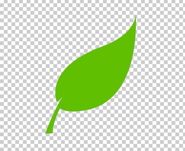 Leaf PNG, Clipart, Cdr, Clip Art, Computer Icons, Grass, Green Free PNG Download