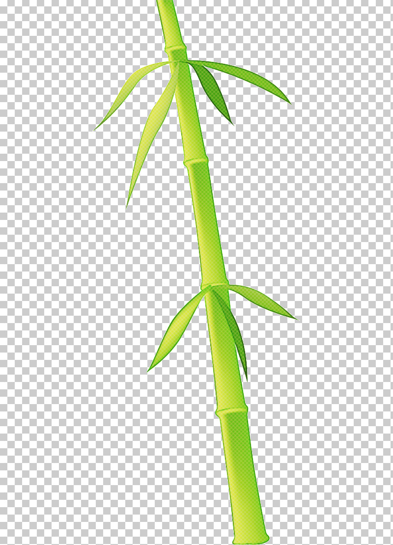 Bamboo PNG, Clipart, Bamboo, Flower, Leaf, Plant, Plant Stem Free PNG Download