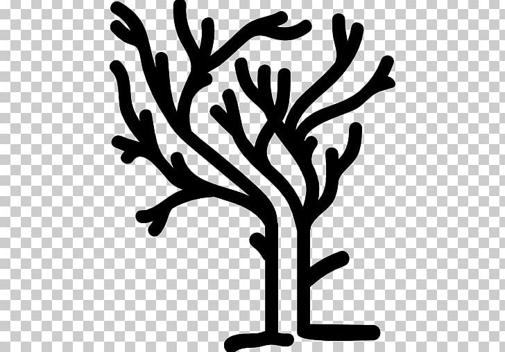 Computer Icons Shape PNG, Clipart, Art, Artwork, Black And White, Branch, Computer Icons Free PNG Download