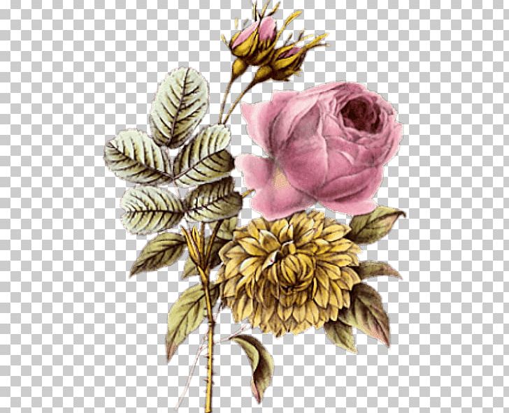 Flower PNG, Clipart, Animaatio, Animation, Artificial Flower, Cut Flowers, Floral Design Free PNG Download