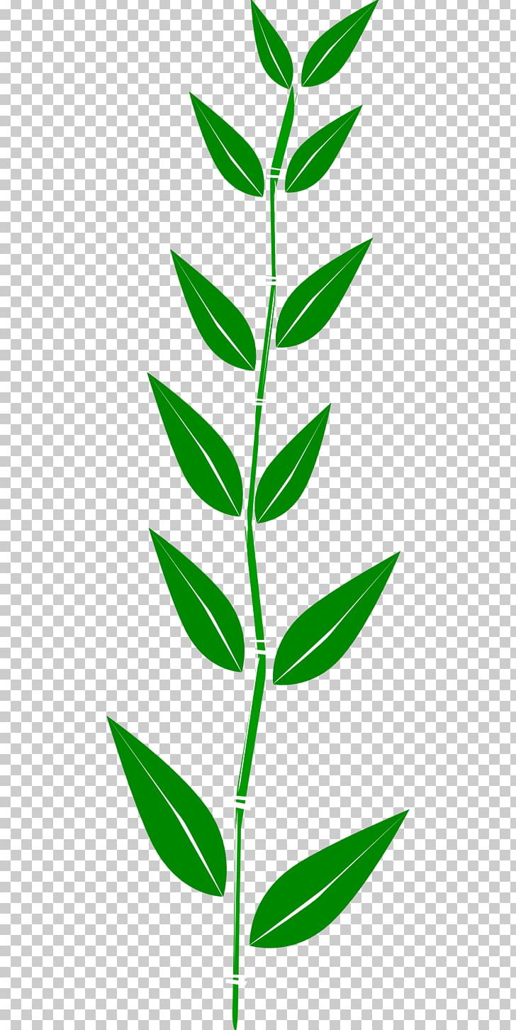 Leaf Green PNG, Clipart, Autumn Leaf Color, Bamboo, Blog, Clip Art, Download Free PNG Download