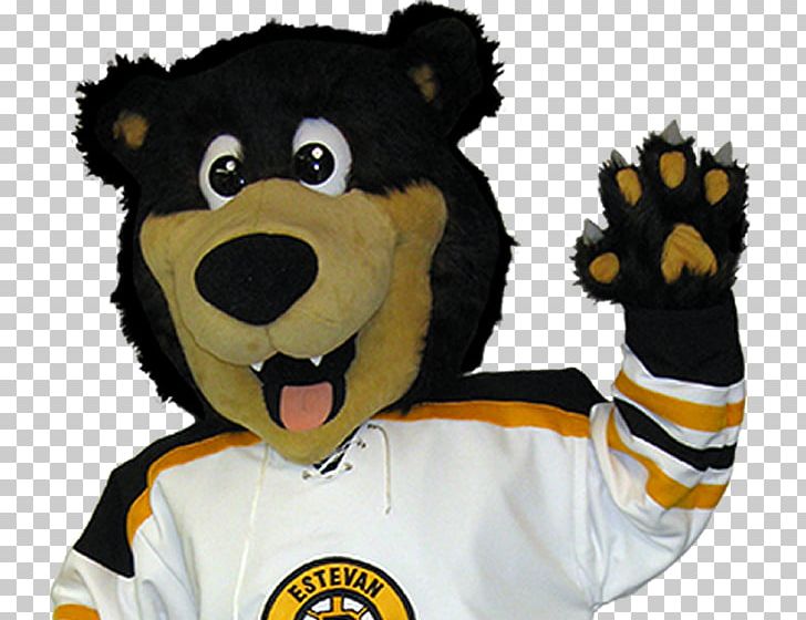 Mascot Boston Bruins National Hockey League Estevan Bruins Ice Hockey PNG, Clipart, Bear, Bear Mascot, Boston Bruins, Carnivoran, Cat Like Mammal Free PNG Download