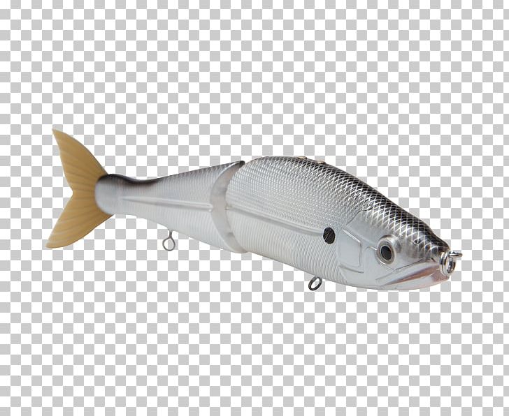 Milkfish Spoon Lure Bonito Silver Shiner PNG, Clipart, Ac Power Plugs And Sockets, Animals, Atrium, Bait, Bart Free PNG Download
