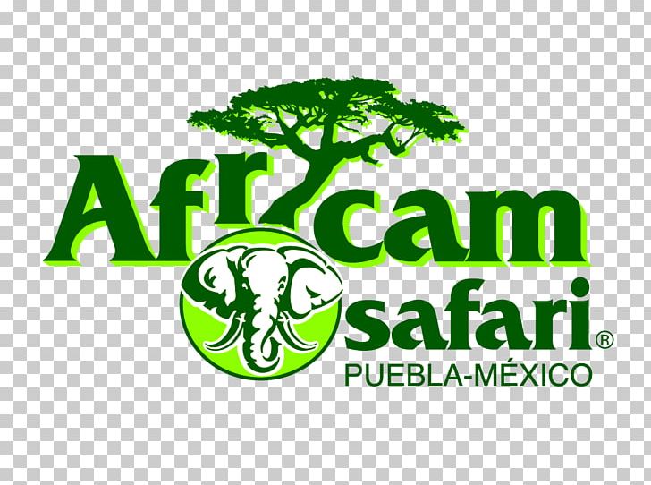 Africam Safari Logo Brand Green Font PNG, Clipart, Africam Safari, Area, Brand, Grass, Green Free PNG Download