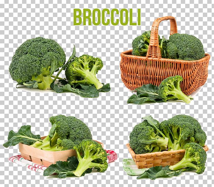 Broccoli Cabbage Vegetable Food PNG, Clipart, Broccoli, Broccoli 0 0 3, Broccoli Art, Broccoli Dog, Broccoli Sketch Free PNG Download