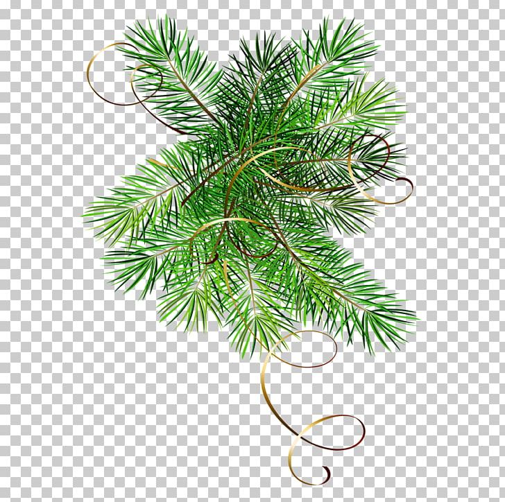 Christmas New Year Tree Blog Holiday PNG, Clipart, Blog, Branch, Christmas, Christmas Decoration, Christmas Ornament Free PNG Download