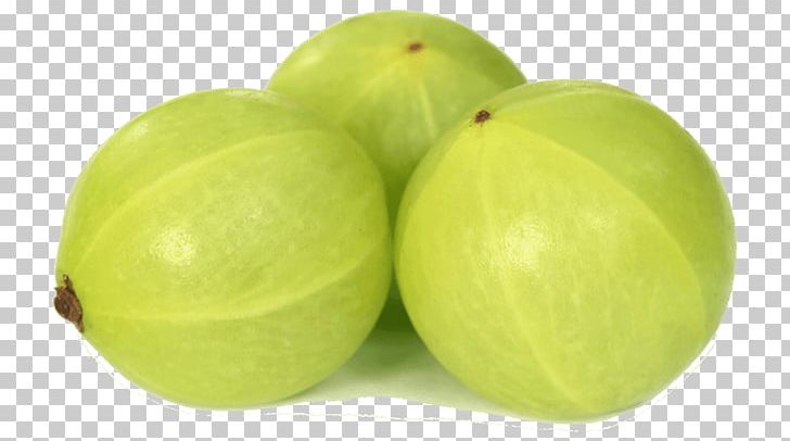 Indian Gooseberry Seedless Fruit PNG, Clipart, Amla, Apple, Clip Art, Food, Fruit Free PNG Download