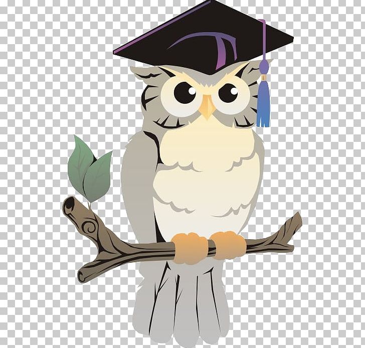 A Wise Old Owl Bedford Public Library System PNG, Clipart, Animals, Animation, Art, Beak, Bedford Free PNG Download