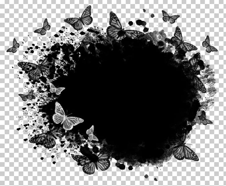 Butterfly NCT #127 Limitless Photography PNG, Clipart, 2017, Butterfly, Butterfly Effect, Circle, Computer Wallpaper Free PNG Download