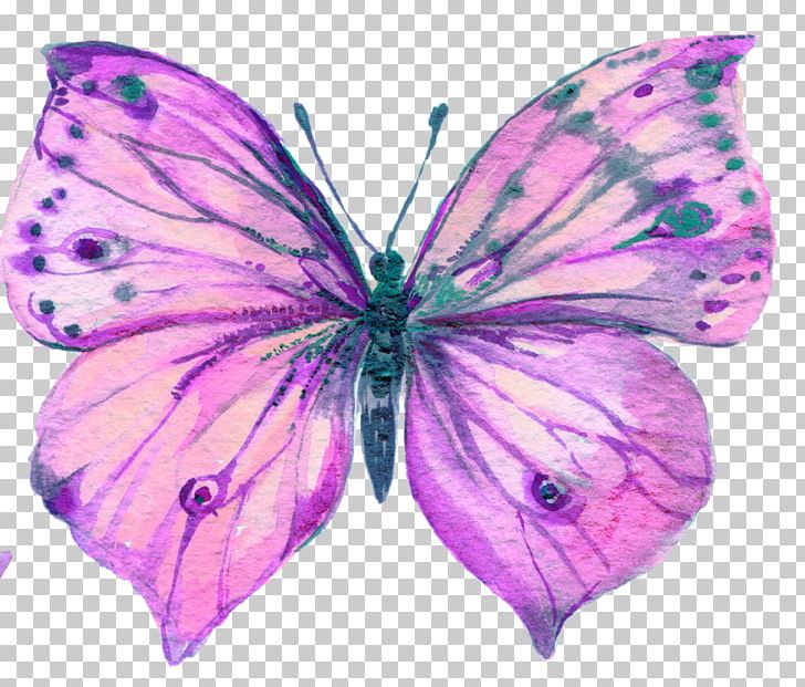 Butterfly Watercolor Painting Art PNG, Clipart, Art, Arthropod, Brush Footed Butterfly, Butterfly, Color Free PNG Download