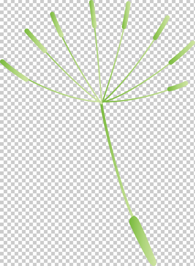 Dandelion PNG, Clipart, Biology, Dandelion, Geometry, Grasses, Green Free PNG Download