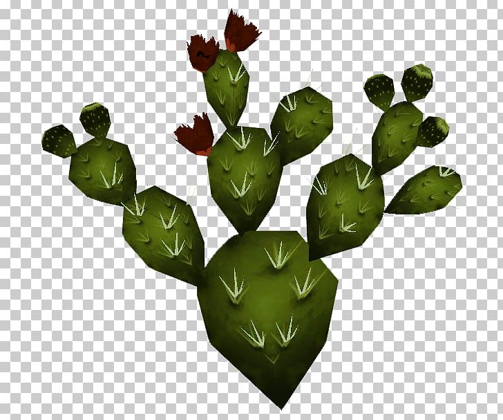 Barbary Fig Nopal Mexico Plant Cactaceae PNG, Clipart, Barbary Fig, Cactaceae, Cactus, Dietary Fiber, Food Free PNG Download