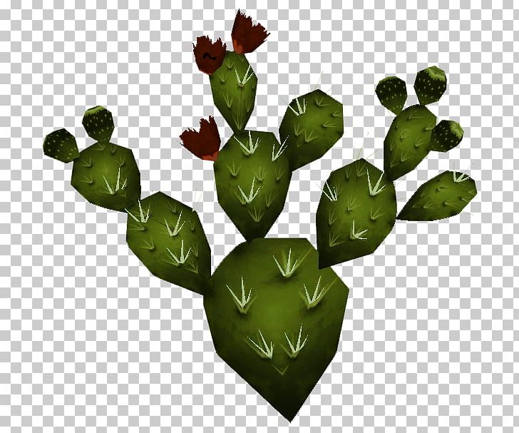 barbary fig nopal mexico plant cactaceae png clipart barbary fig cactaceae cactus dietary fiber food free barbary fig nopal mexico plant