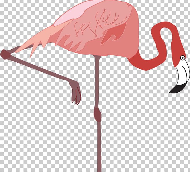 Vertebrate Water Bird Flamingo Drawing PNG, Clipart, Animal, Animals, Beak, Bird, Drawing Free PNG Download