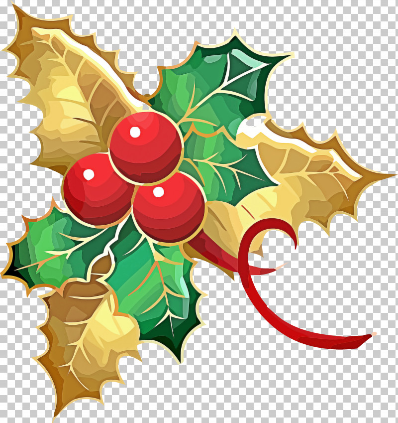 Holly Christmas Ornament PNG, Clipart, American Holly, Christmas, Christmas Eve, Christmas Ornament, Grape Leaves Free PNG Download