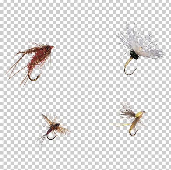 Artificial Fly Insect PNG, Clipart, Animals, Artificial Fly, Dry Fly Fishing, Fishing Bait, Fishing Lure Free PNG Download