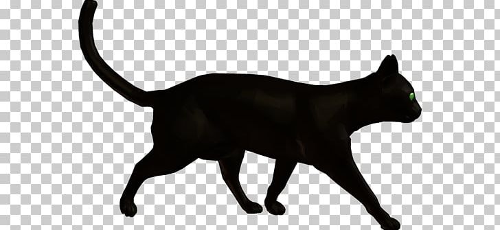 Black Cat Domestic Short-haired Cat Dog Whiskers PNG, Clipart, Animals, Animaux, Asian, Black, Black Cat Free PNG Download