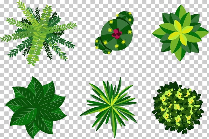 Plant Euclidean Illustration PNG, Clipart, Art, Encapsulated Postscript, Flower, Food Drinks, Grass Free PNG Download